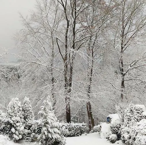 Am Hoehenweg فارشتاين